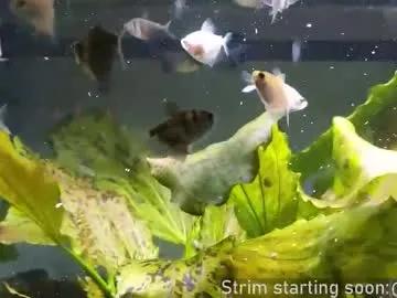 booker_baxton's avatar