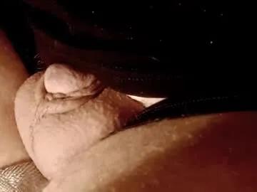 mini4in on Chaturbate 