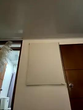 abbymnd on StripChat 