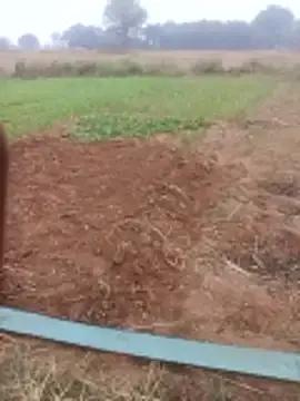 Chinki_pande's avatar