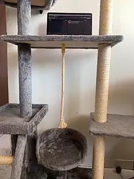 Dasul_ — Risky jerk off 