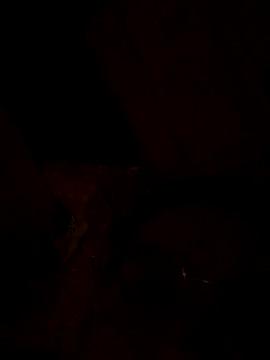 nalalye_cruzz_ on StripChat 