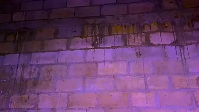 nzanizy — finance my own house until 2026