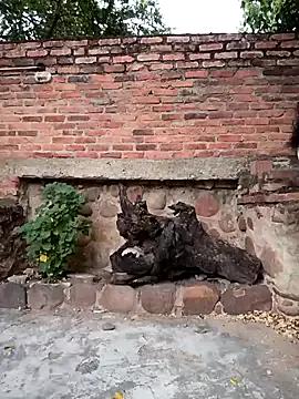 sweet_outdoor_charm's avatar